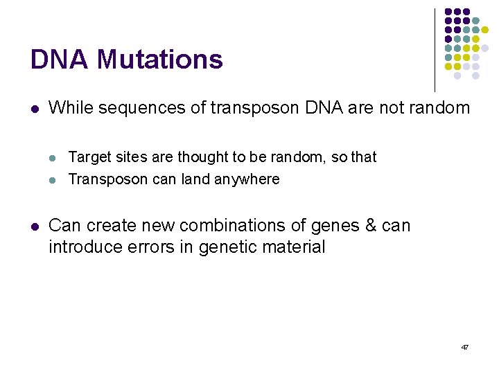 DNA Mutations l While sequences of transposon DNA are not random l l l