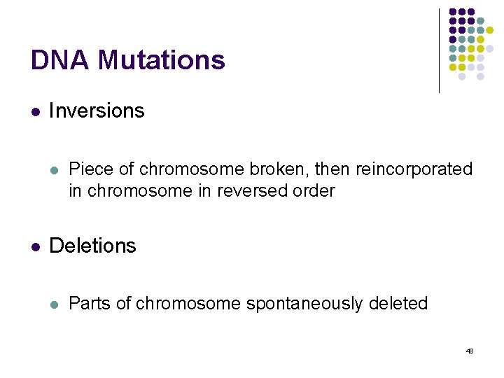 DNA Mutations l Inversions l l Piece of chromosome broken, then reincorporated in chromosome