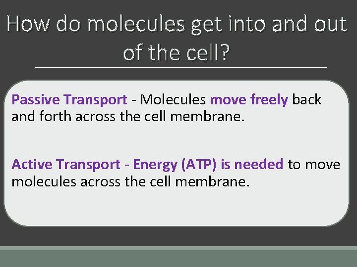 How do molecules get into and out of the cell? Passive Transport - Molecules How do molecules get into and out of the cell? Passive Transport - Molecules