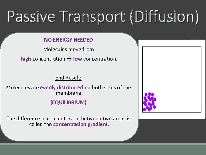 Passive Transport (Diffusion) NO ENERGY NEEDED Molecules move from high concentration low concentration. End Passive Transport (Diffusion) NO ENERGY NEEDED Molecules move from high concentration low concentration. End