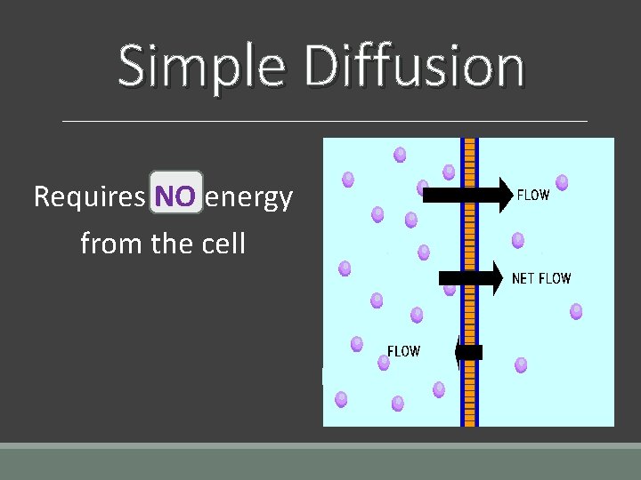 Simple Diffusion Requires NO energy from the cell 