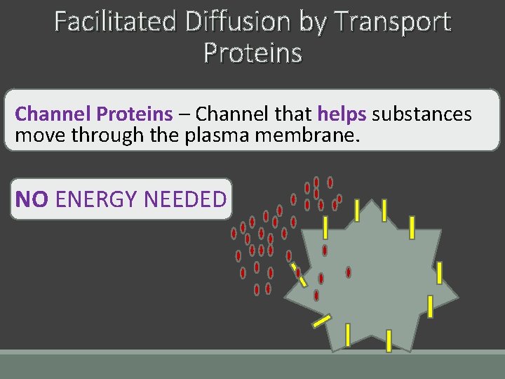 Facilitated Diffusion by Transport Proteins Channel Proteins – Channel that helps substances move through Facilitated Diffusion by Transport Proteins Channel Proteins – Channel that helps substances move through