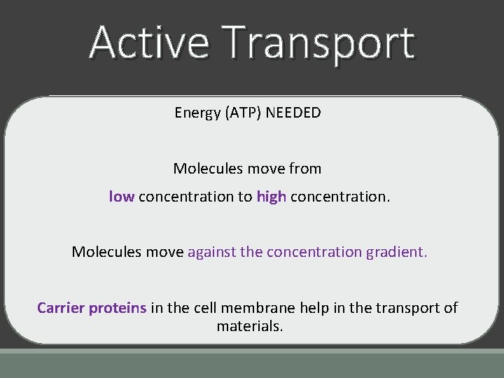 Active Transport Energy (ATP) NEEDED Molecules move from low concentration to high concentration. Molecules