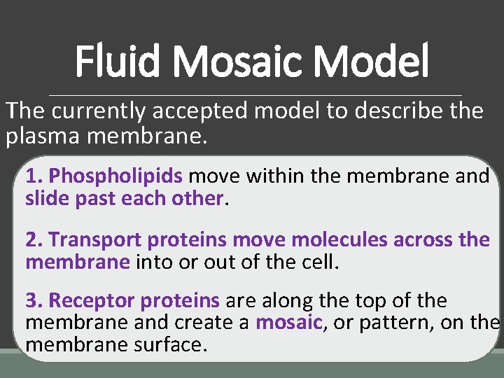 Fluid Mosaic Model The currently accepted model to describe the plasma membrane. 1. Phospholipids