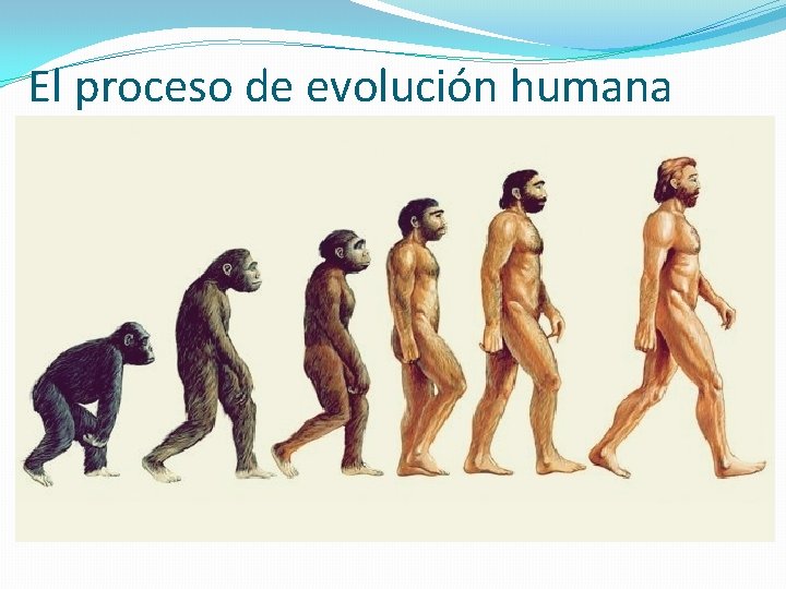 El proceso de evolución humana 