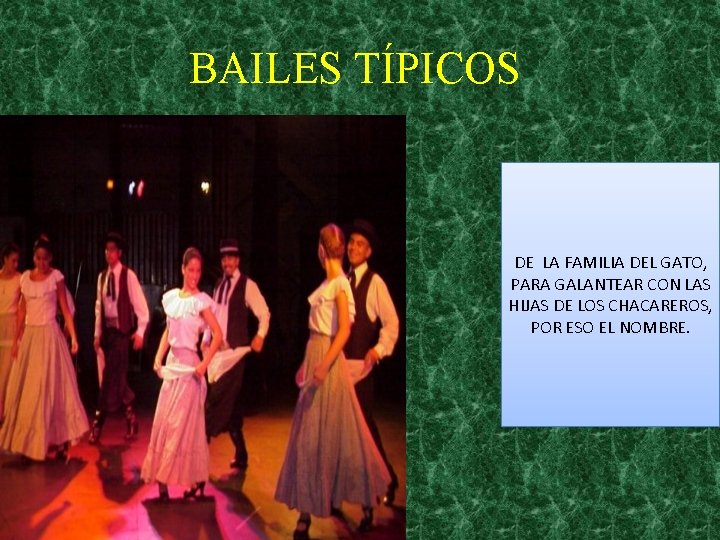 BAILES TÍPICOS DE LA FAMILIA DEL GATO, PARA GALANTEAR CON LAS HIJAS DE LOS