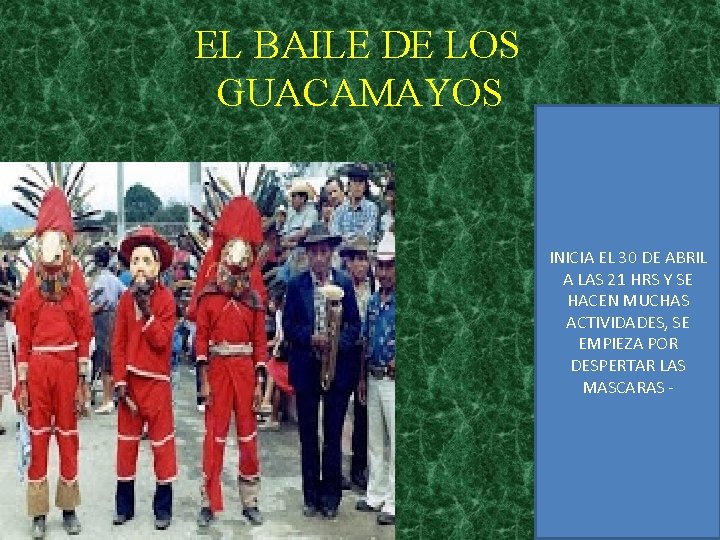 EL BAILE DE LOS GUACAMAYOS INICIA EL 30 DE ABRIL A LAS 21 HRS
