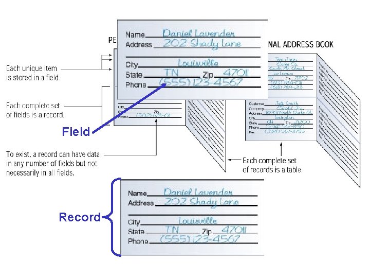 Field Record Field Record