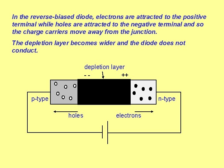 In the reverse-biased diode, electrons are attracted to the positive terminal while holes are