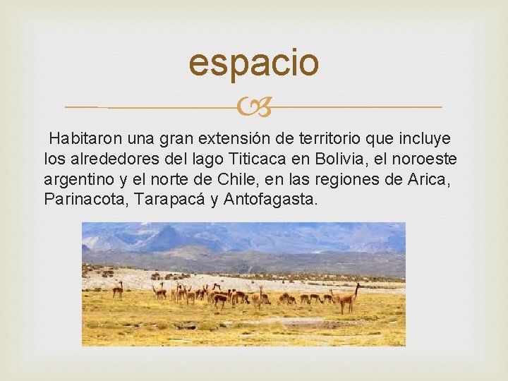 espacio Habitaron una gran extensión de territorio que incluye los alrededores del lago Titicaca