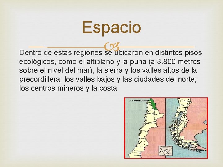 Espacio Dentro de estas regiones se ubicaron en distintos pisos ecológicos, como el altiplano