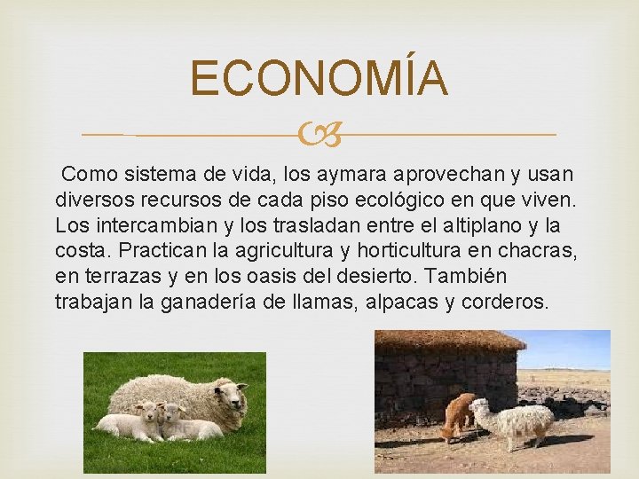 ECONOMÍA Como sistema de vida, los aymara aprovechan y usan diversos recursos de cada