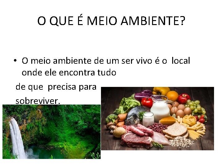 O QUE É MEIO AMBIENTE? • O meio ambiente de um ser vivo é