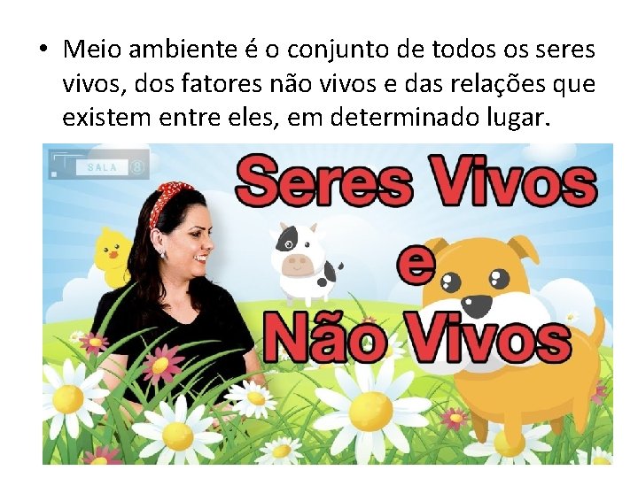  • Meio ambiente é o conjunto de todos os seres vivos, dos fatores