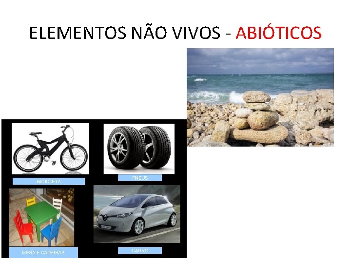 ELEMENTOS NÃO VIVOS - ABIÓTICOS 