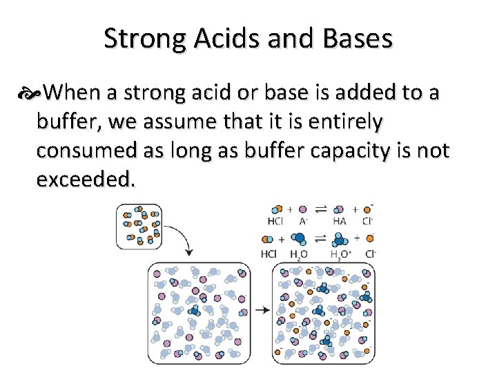 Strong Acids and Bases When a strong acid or base is added to a