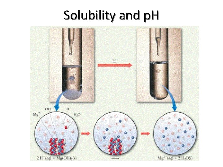 Solubility and p. H 