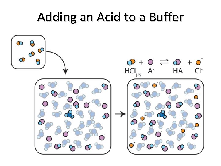 Adding an Acid to a Buffer 