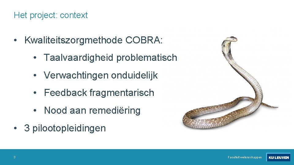 Het project: context • Kwaliteitszorgmethode COBRA: • Taalvaardigheid problematisch • Verwachtingen onduidelijk • Feedback