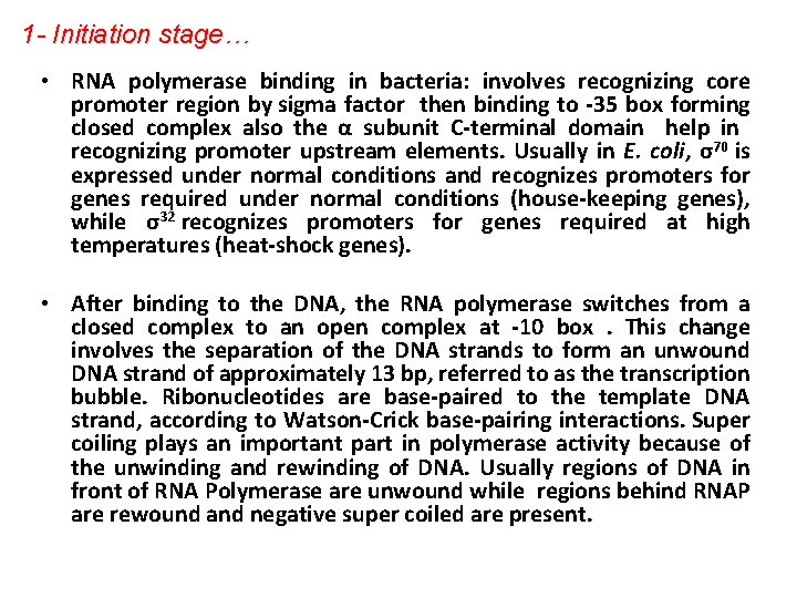 1 - Initiation stage… • RNA polymerase binding in bacteria: involves recognizing core promoter
