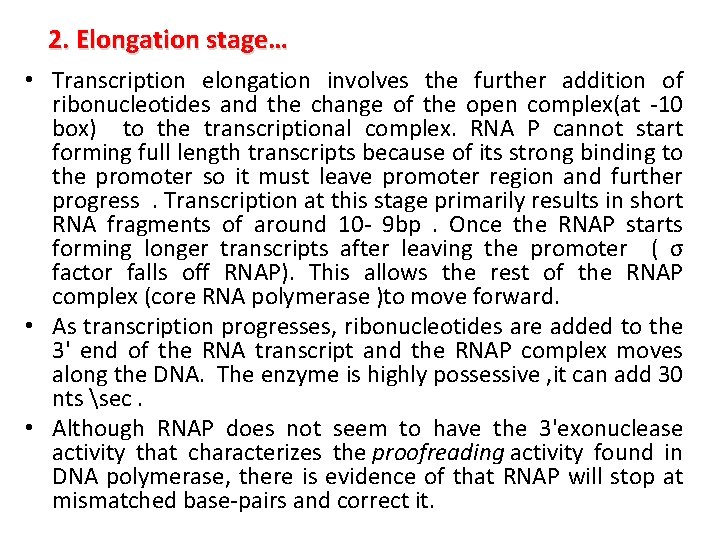 2. Elongation stage… • Transcription elongation involves the further addition of ribonucleotides and the