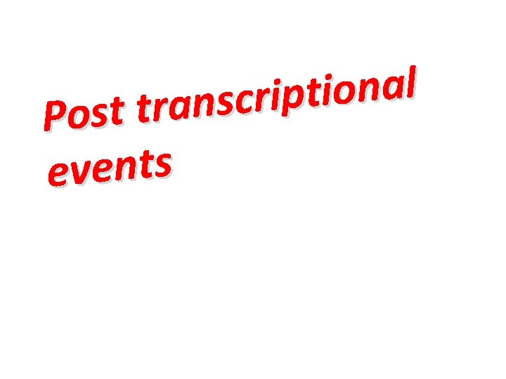 l a n o i t p i r c s n a r