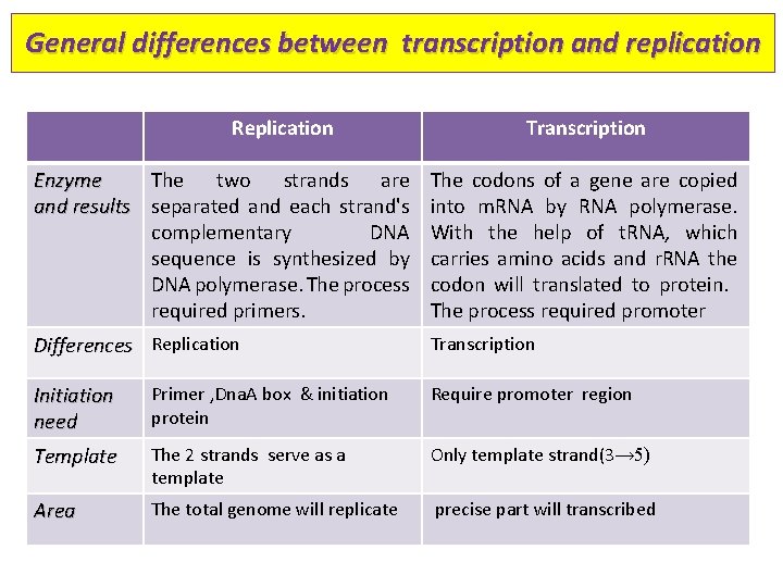 General differences between transcription and replication Replication Transcription Enzyme The two strands are and