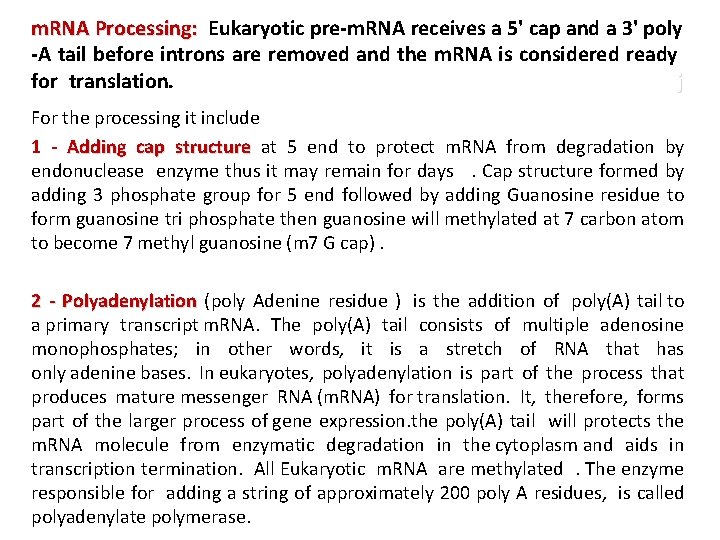 m. RNA Processing: Eukaryotic pre-m. RNA receives a 5' cap and a 3' poly