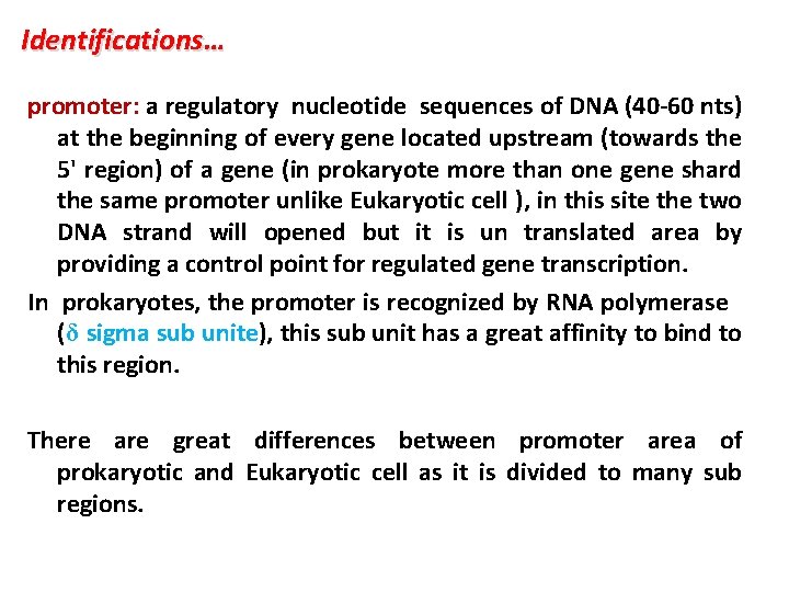Identifications… promoter: a regulatory nucleotide sequences of DNA (40 -60 nts) at the beginning