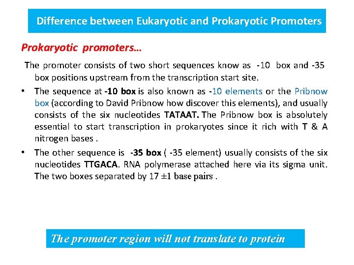 Difference between Eukaryotic and Prokaryotic Promoters Prokaryotic promoters… The promoter consists of two short