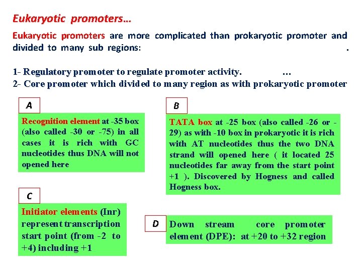 Eukaryotic promoters… Eukaryotic promoters are more complicated than prokaryotic promoter and divided to many