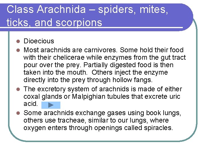 Class Arachnida – spiders, mites, ticks, and scorpions Dioecious l Most arachnids are carnivores.