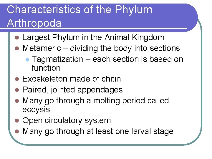 Characteristics of the Phylum Arthropoda l l l l Largest Phylum in the Animal