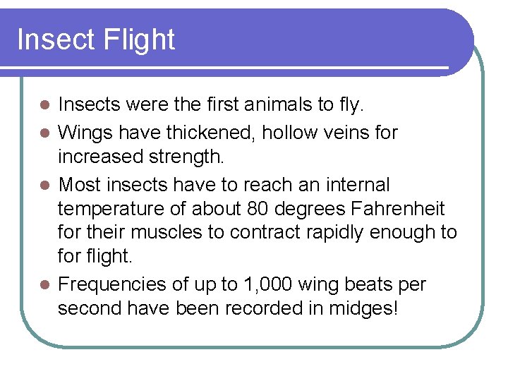 Insect Flight Insects were the first animals to fly. l Wings have thickened, hollow