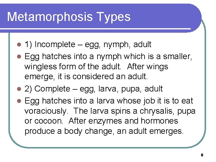 Metamorphosis Types 1) Incomplete – egg, nymph, adult l Egg hatches into a nymph