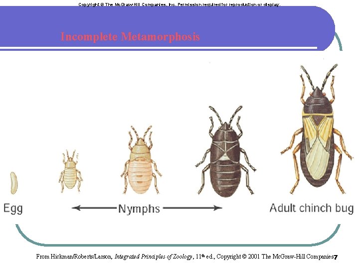 Copyright © The Mc. Graw-Hill Companies, Inc. Permission required for reproduction or display. Incomplete