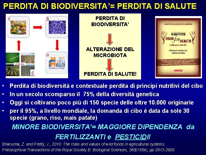 PERDITA DI BIODIVERSITA’= PERDITA DI SALUTE PERDITA DI BIODIVERSITA’ ALTERAZIONE DEL MICROBIOTA PERDITA DI