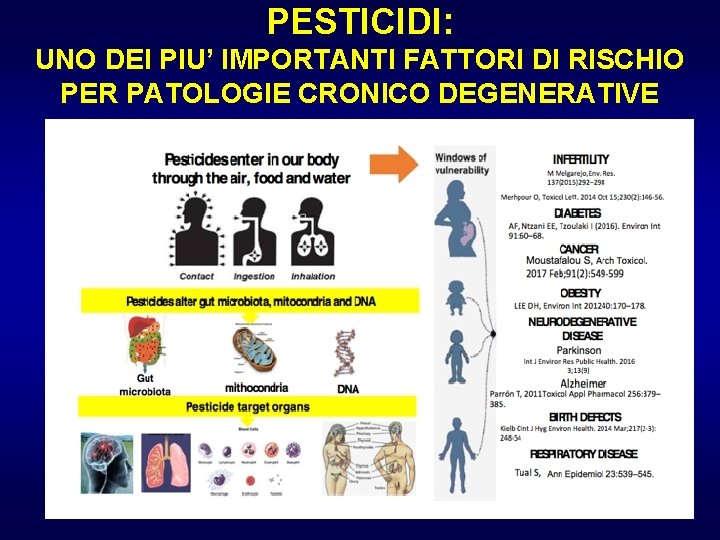 PESTICIDI: UNO DEI PIU’ IMPORTANTI FATTORI DI RISCHIO PER PATOLOGIE CRONICO DEGENERATIVE 