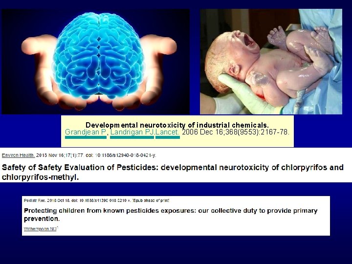 Developmental neurotoxicity of industrial chemicals. Grandjean P, Landrigan PJ. Lancet. 2006 Dec 16; 368(9553):