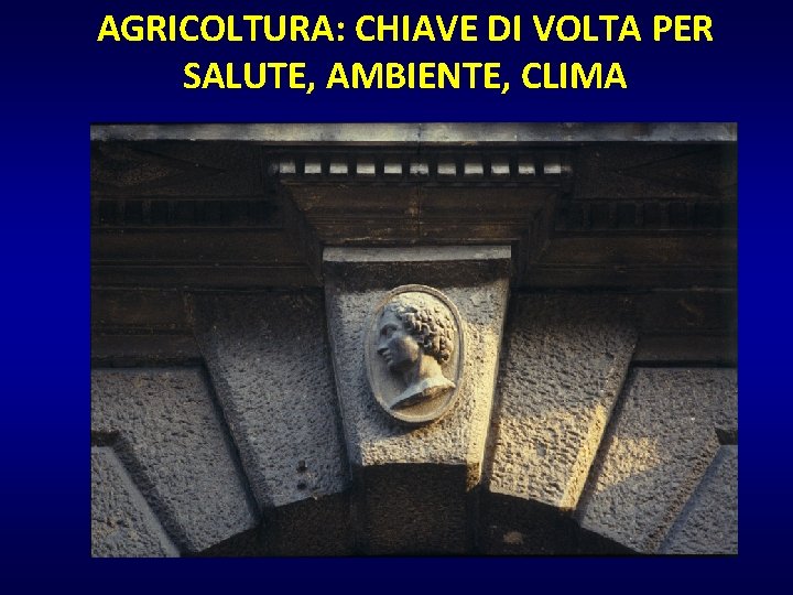 AGRICOLTURA: CHIAVE DI VOLTA PER SALUTE, AMBIENTE, CLIMA 