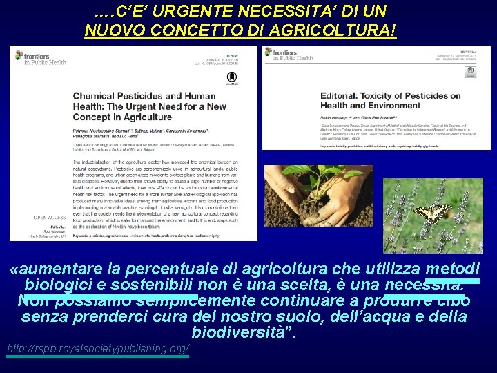 …. C’E’ URGENTE NECESSITA’ DI UN NUOVO CONCETTO DI AGRICOLTURA! «aumentare la percentuale di