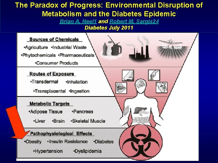 The Paradox of Progress: Environmental Disruption of Metabolism and the Diabetes Epidemic Brian A.