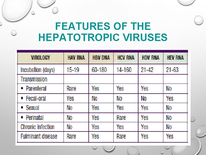 FEATURES OF THE HEPATOTROPIC VIRUSES 