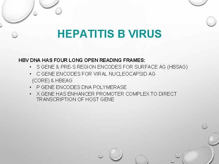 HEPATITIS B VIRUS HBV DNA HAS FOUR LONG OPEN READING FRAMES: • S GENE