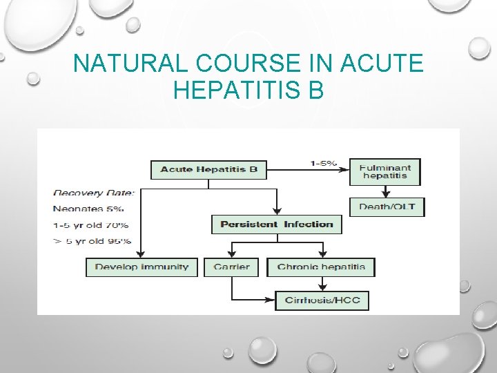 NATURAL COURSE IN ACUTE HEPATITIS B 