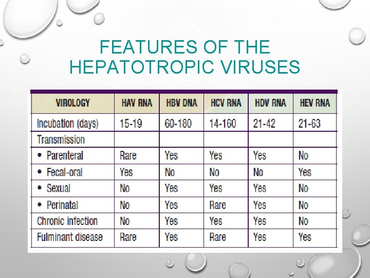 FEATURES OF THE HEPATOTROPIC VIRUSES 