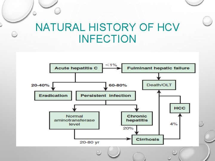 NATURAL HISTORY OF HCV INFECTION 