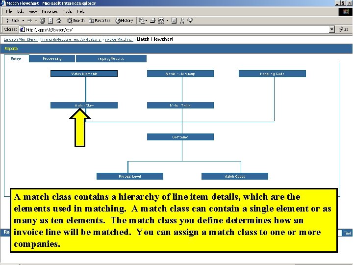 A match class contains a hierarchy of line item details, which are the elements