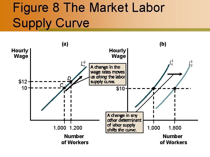 Figure 8 The Market Labor Supply Curve (a) Hourly Wage $12 10 (b) Hourly