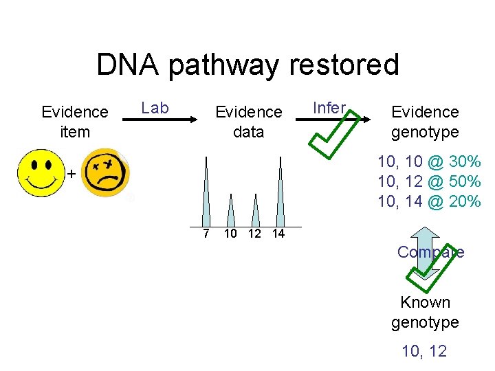 DNA pathway restored Evidence item Lab Evidence data Infer Evidence genotype 10, 10 @